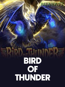 Bird Of Thunder game cover